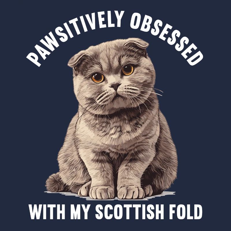 Scottish Fold Kätzchen Scottish Fold Katze