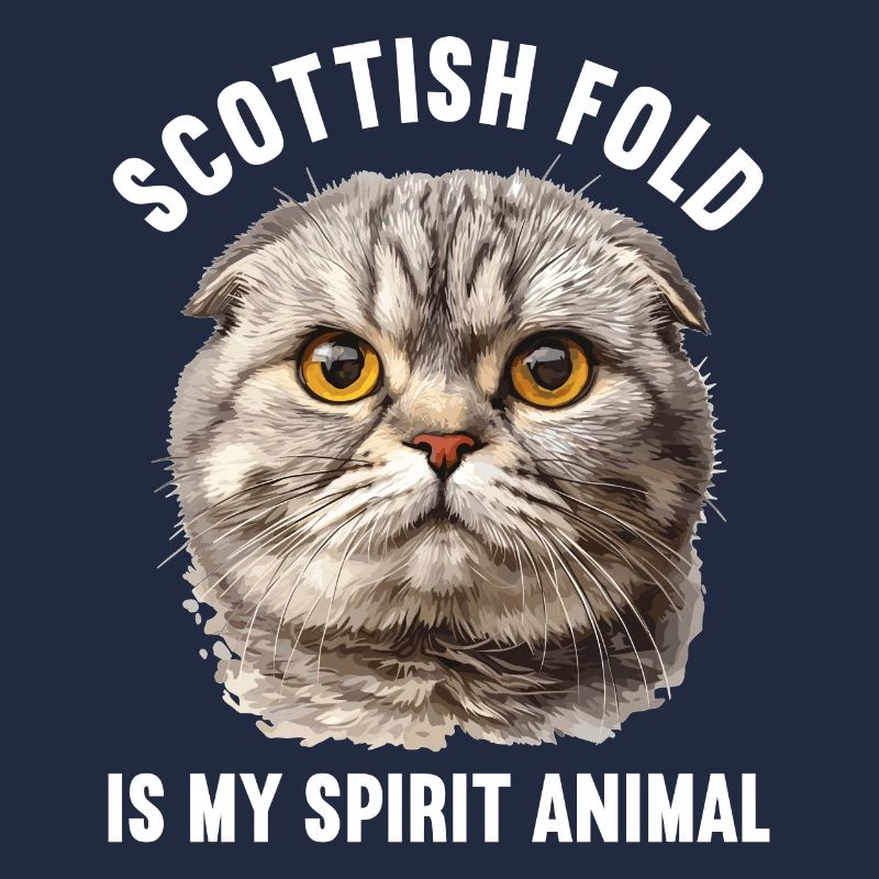 Scottish Fold Kätzchen Scottish Fold Katze