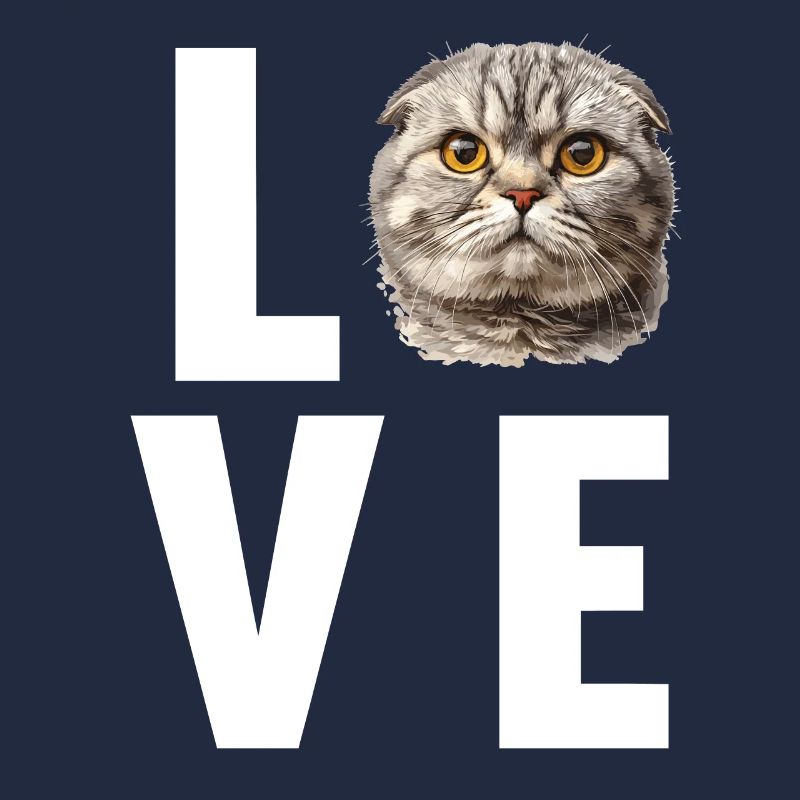 Scottish Fold Kätzchen Scottish Fold Katze