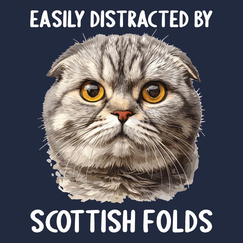 Scottish Fold Kätzchen Scottish Fold Katze