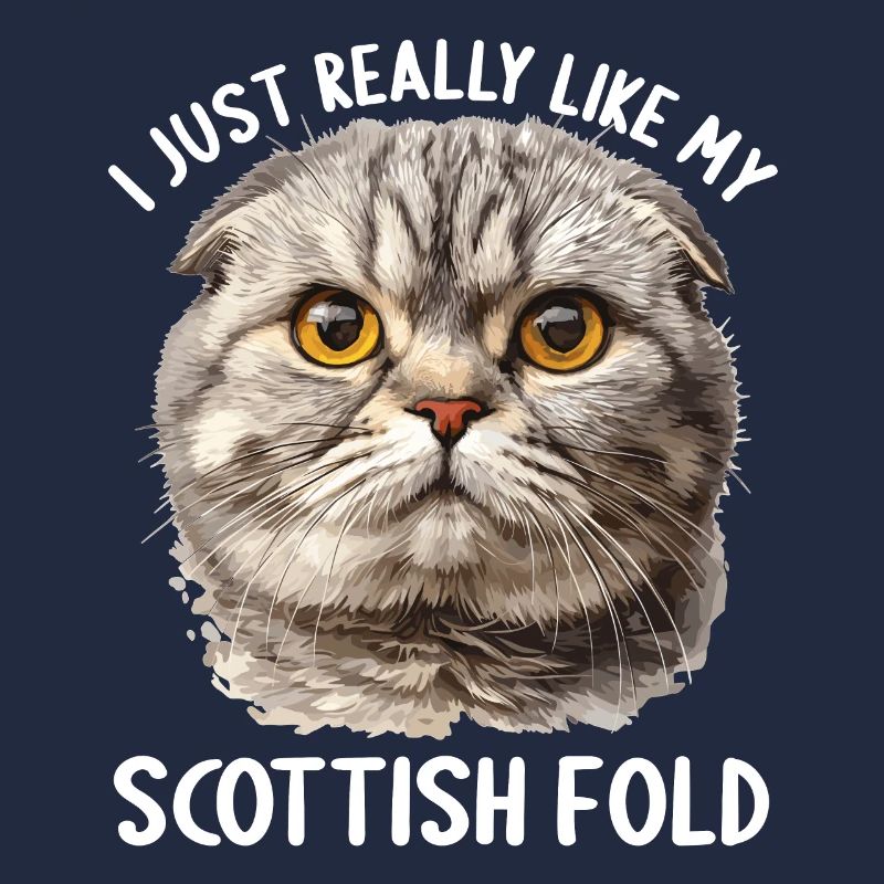 Scottish Fold Kätzchen Scottish Fold Katze