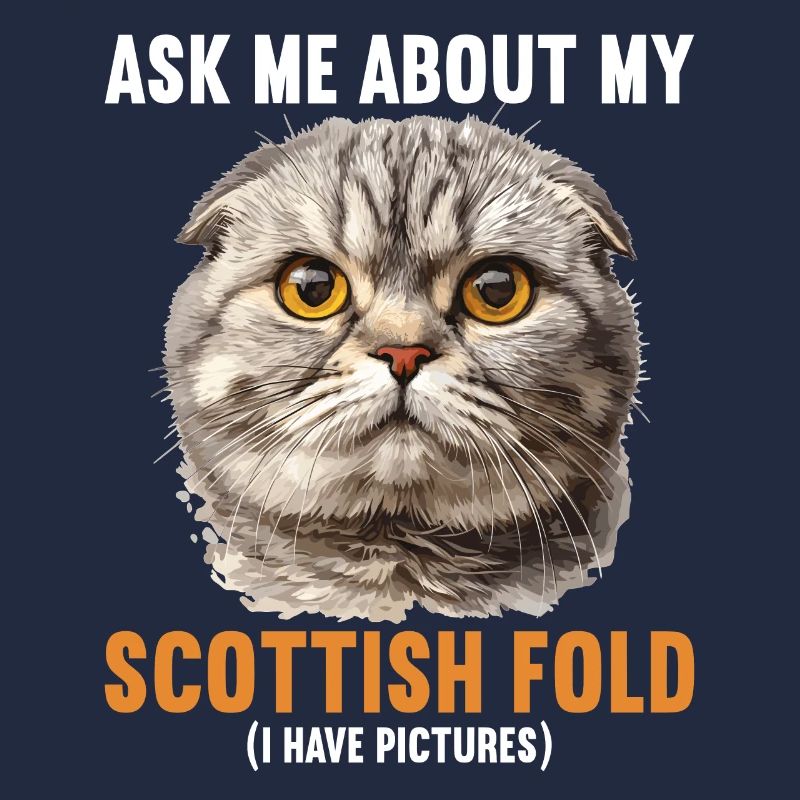 Scottish Fold Kätzchen Scottish Fold Katze
