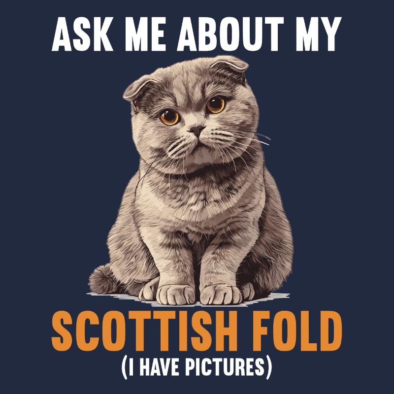 Scottish Fold Kitten Scottish Fold chat