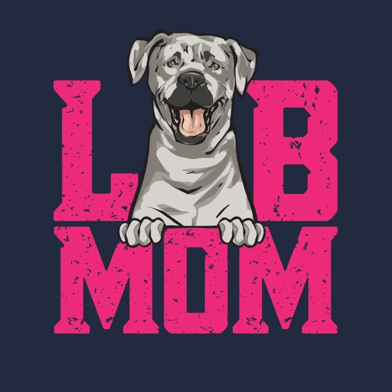 Silver Labrador Retriever Silver Lab