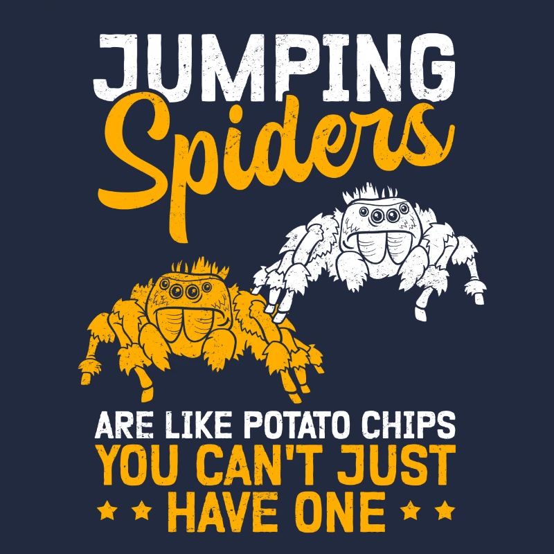 Jumping Spiders Spider Jumping Spider Gift