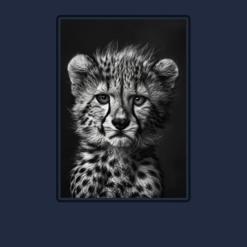 Guépard Geparde Gepard