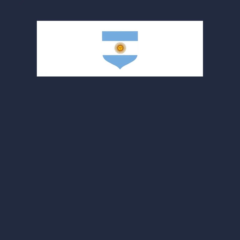 Argentine Cadeau Argentine Drapeau argentin
