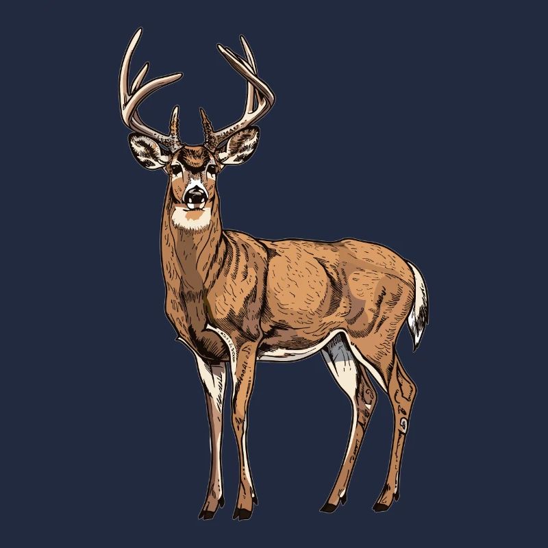 Hirsche Hirsch