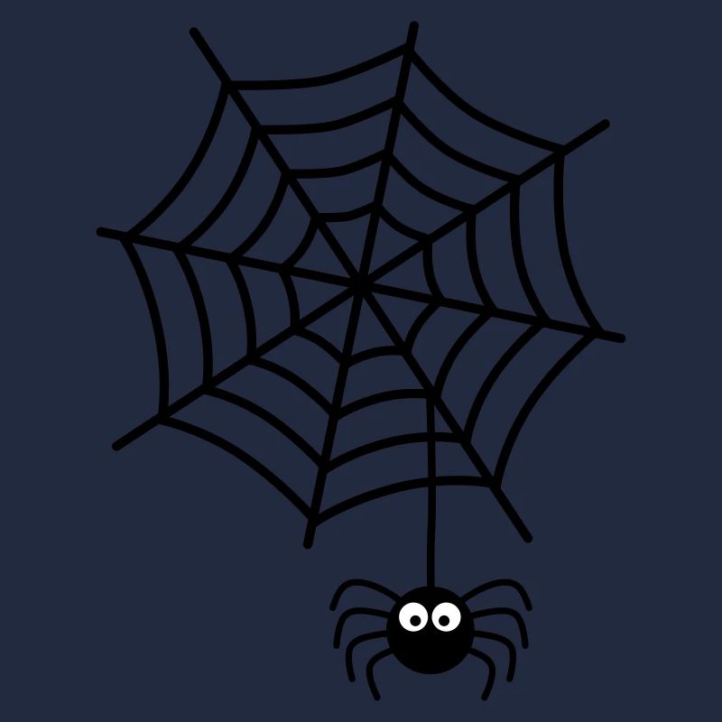 Spinnennetz Spinne