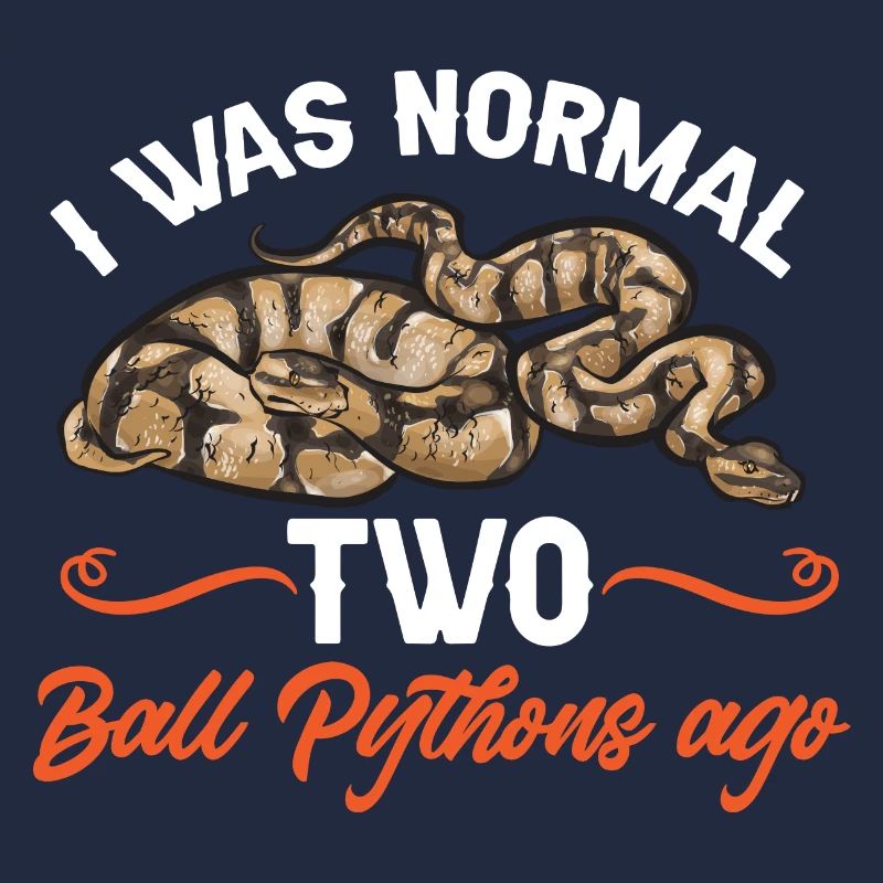 Ball Python Schlange Königspython