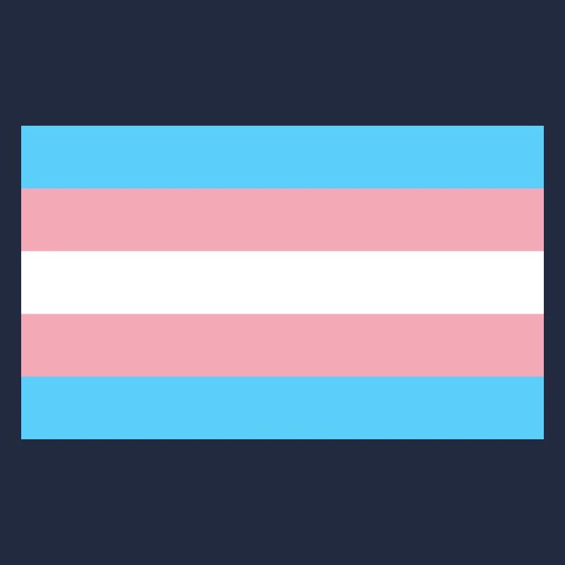 Trans-Flagge