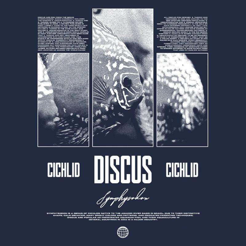 Discus Fish Cichlid Aquarium Fish Keeper