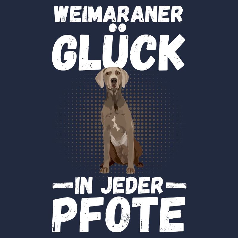 Braque de Weimar chien