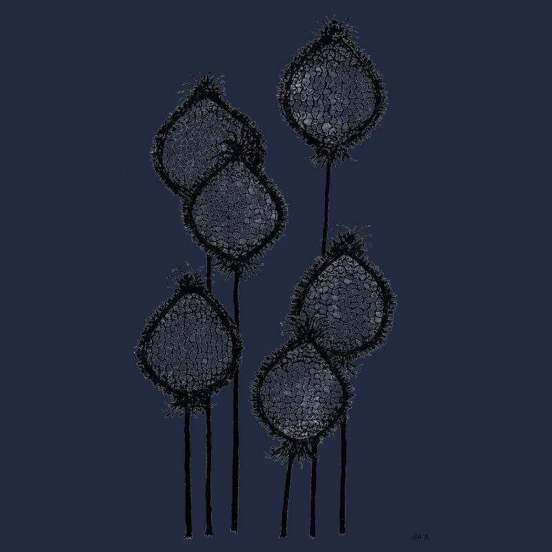 Mohnknospen oder Ananas am Stiel? Schwarz abstrakt