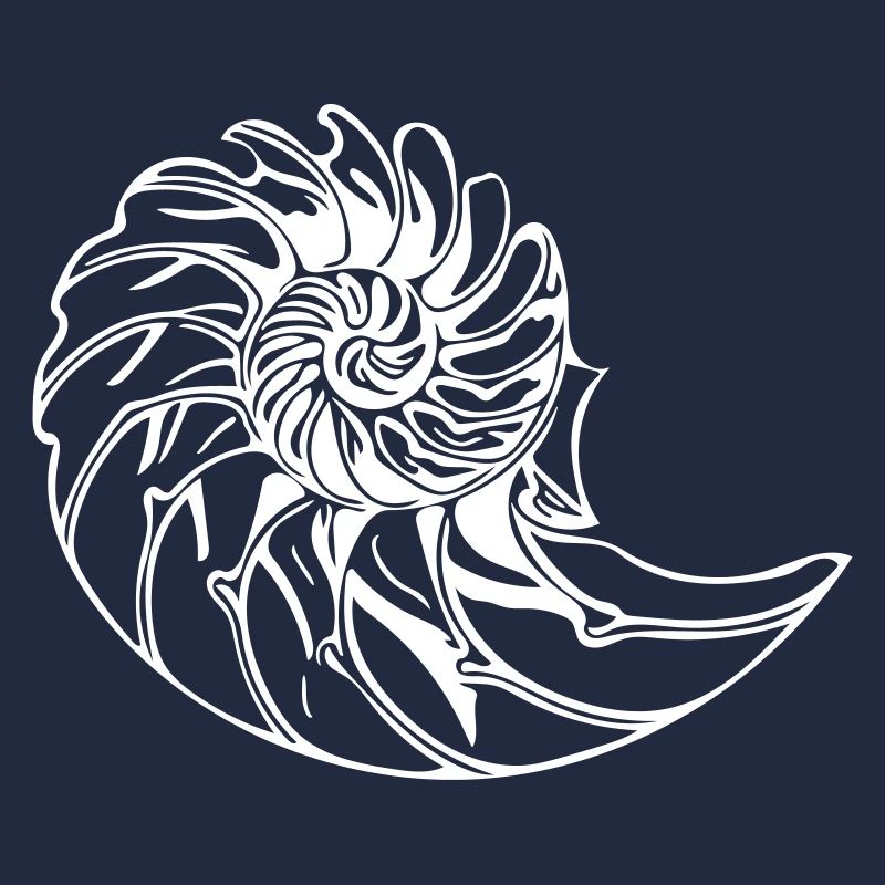 Elegant shell