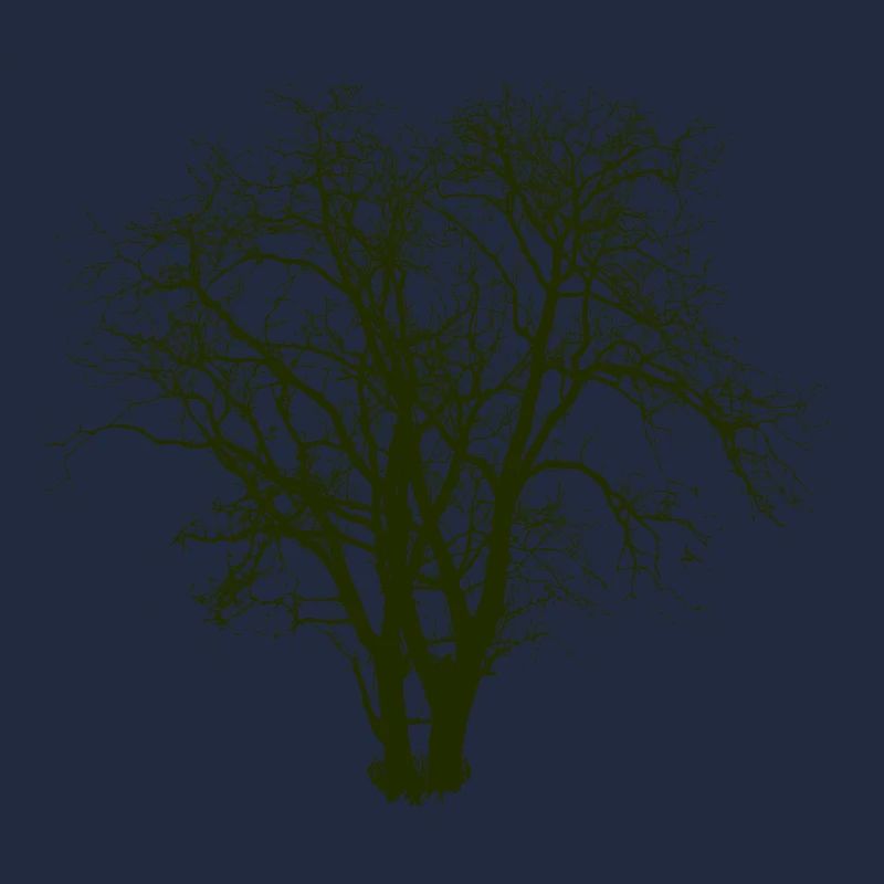 Baum