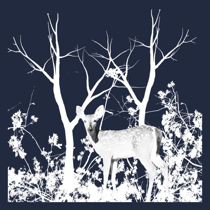 Biche Gracieuse Forêt Sauvage