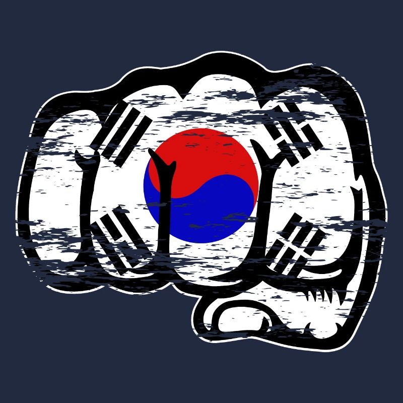 Südkorea Flagge Hand Faust used