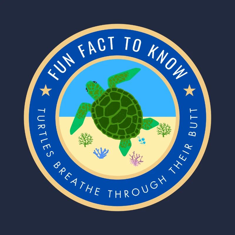 Fun Fact about Turtles
