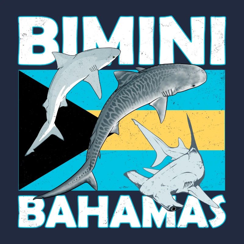 Bimini Drapeau des Bahamas