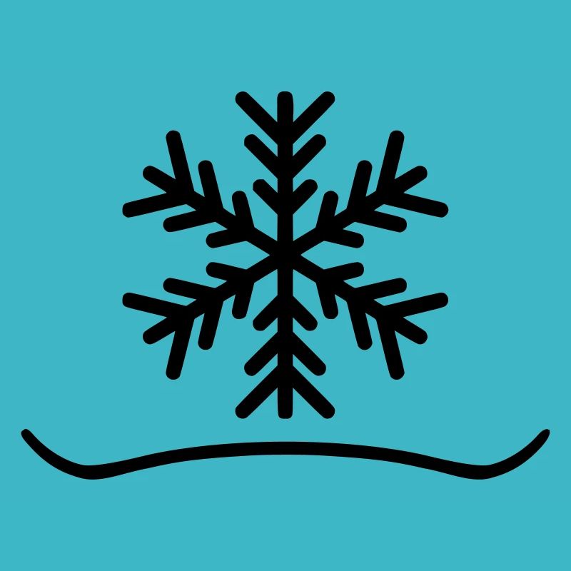 Snowboard Snow X Board