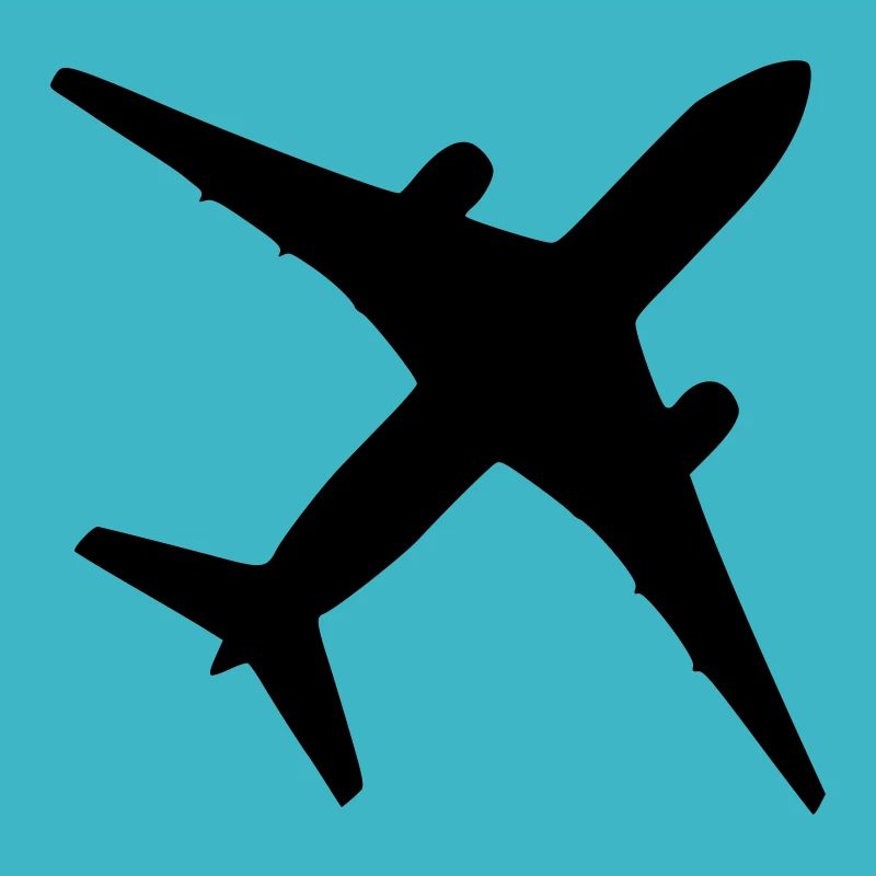 Flugzeug