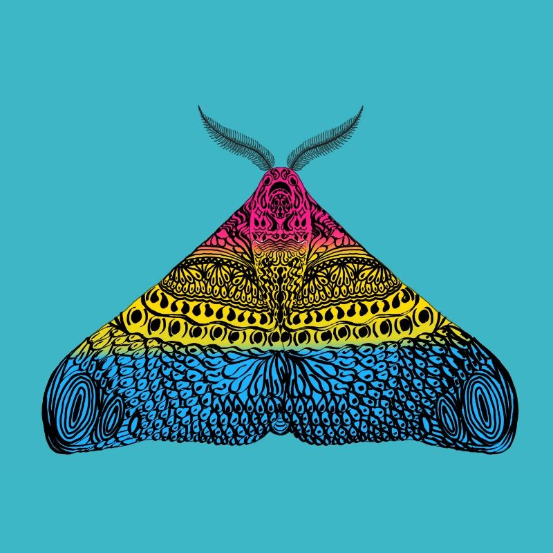 Pansexual pride moth