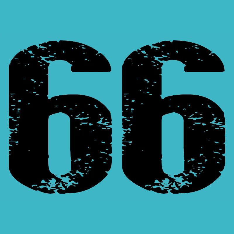 Justaucorps à 66 chiffres