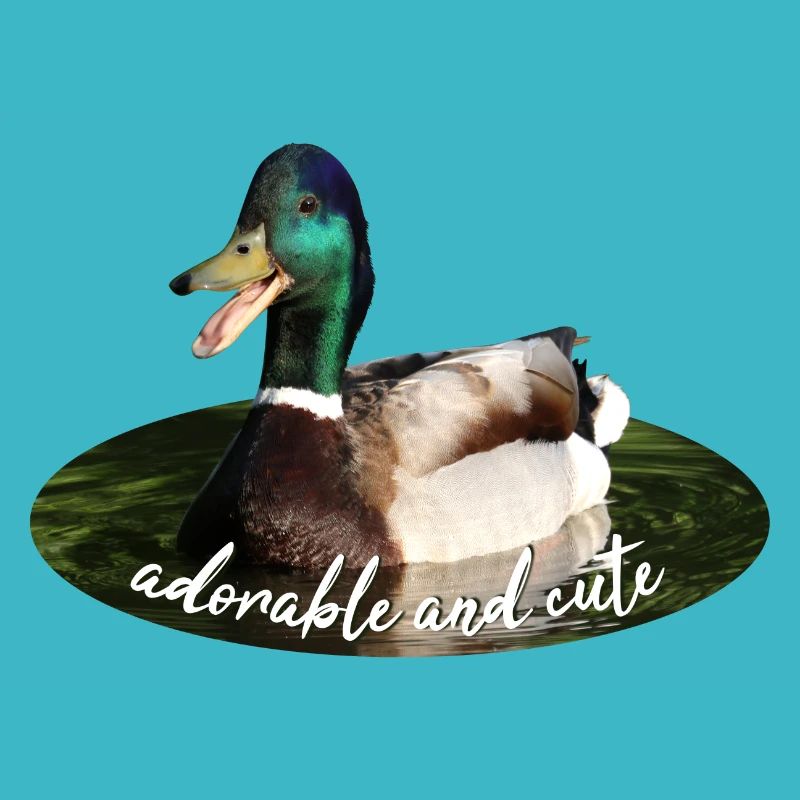 Canard colvert