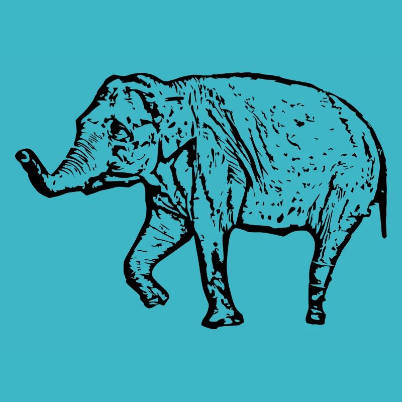 Elephant black