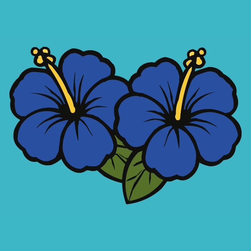 Fleurs d’hibiscus 2