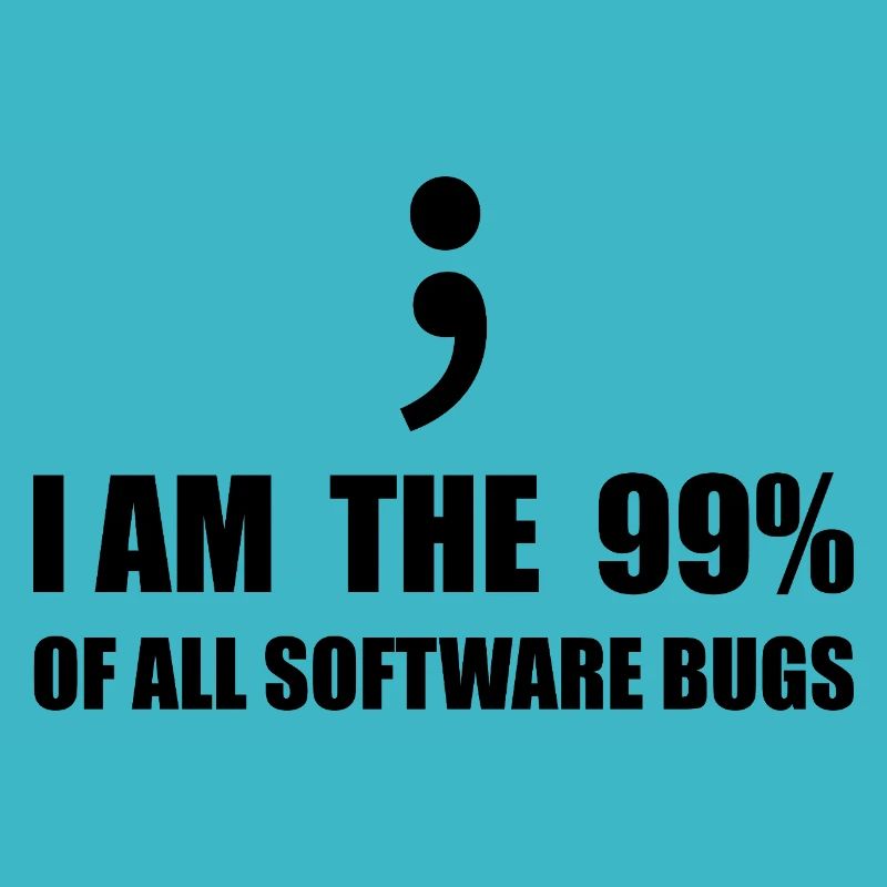Programmeur Computer Scientist
