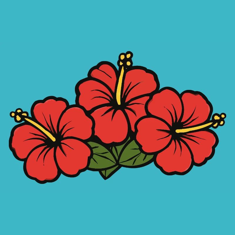 Fleurs d’hibiscus