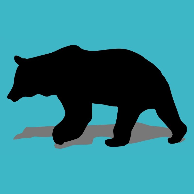 bear - brown bear - hunting - hunter