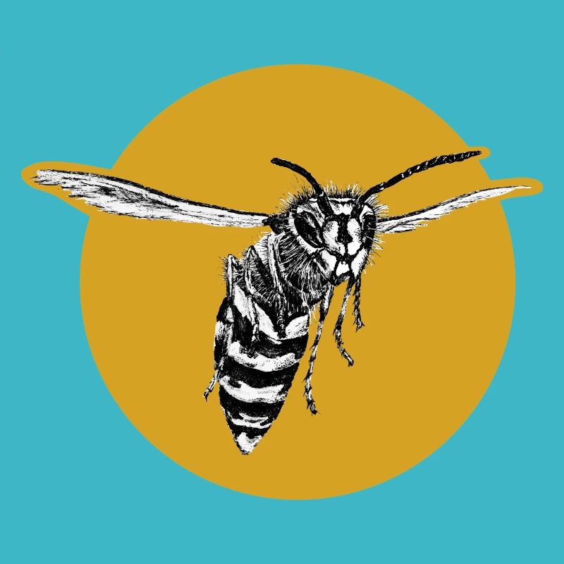 Guêpe - Abeille - Insecte