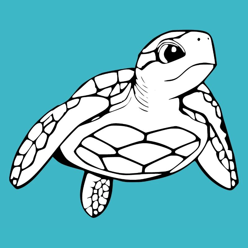 Turtle Turtles