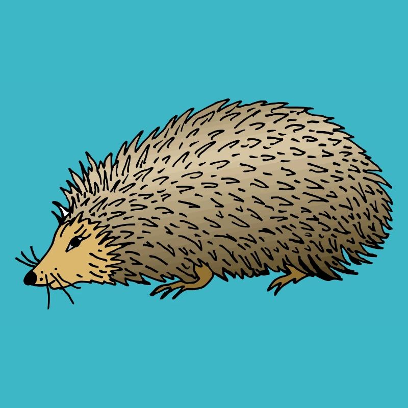 Hérisson