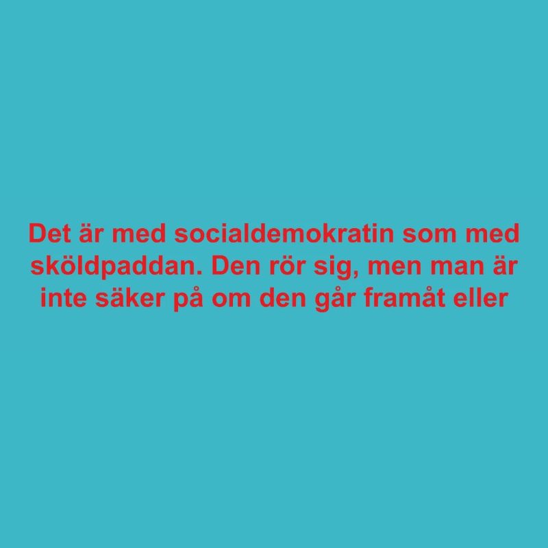 Sozialdemokraten Text