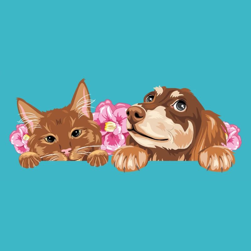 Cute peeking ginger cat and dreaming dachshund