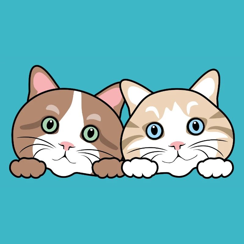 Deux chats drôles de regards