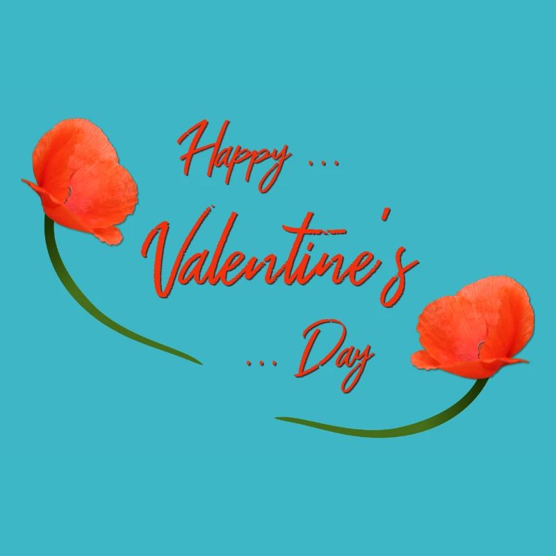 Coquelicot de la Saint-Valentin