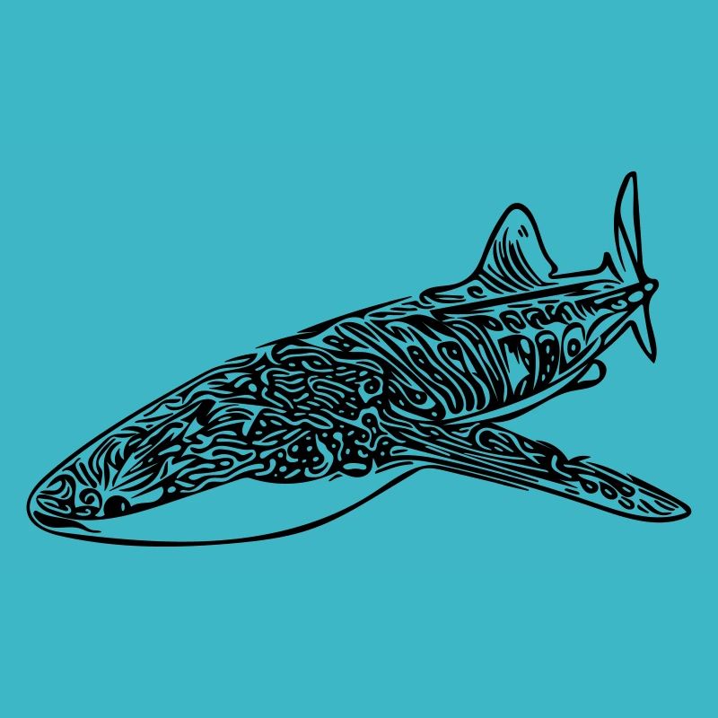 Whale Shark