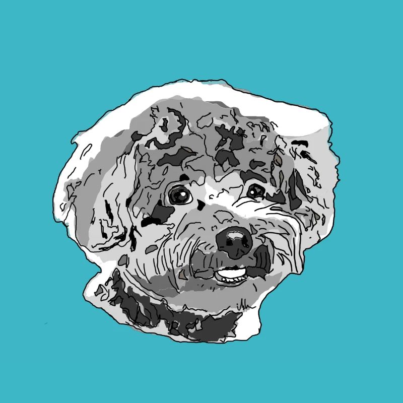 Poodle