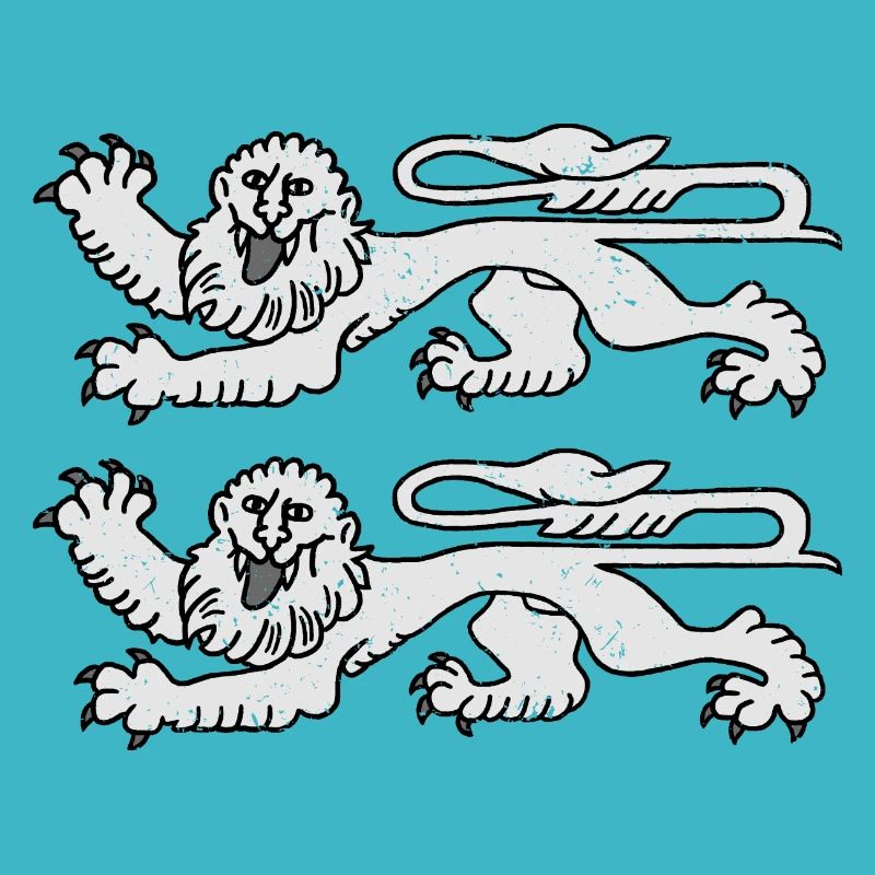 Lions de Normandie GRIS