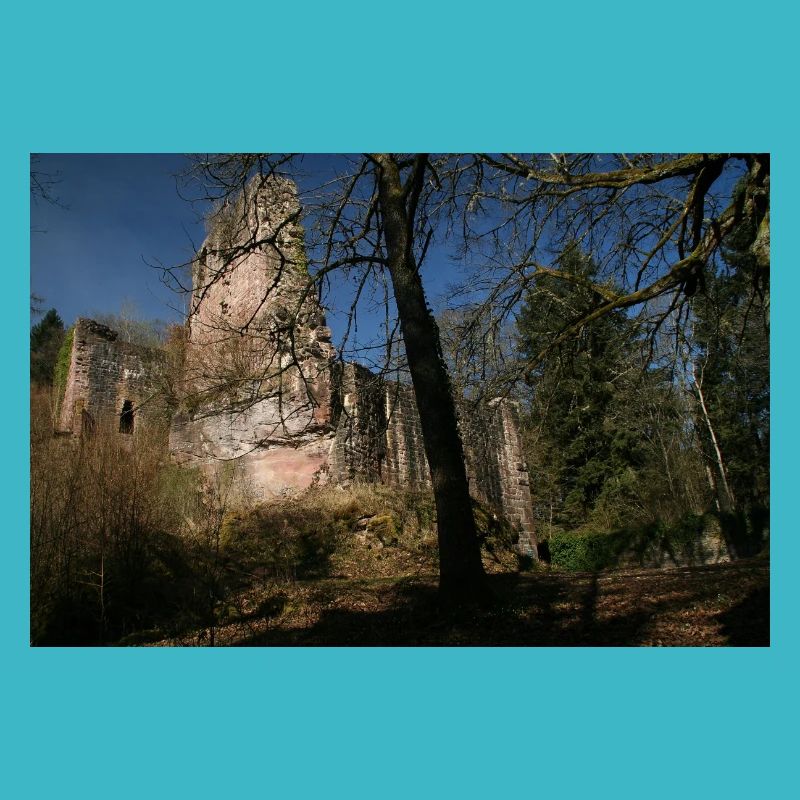 Mystical Waldeck Castle (Northern Black Forest)