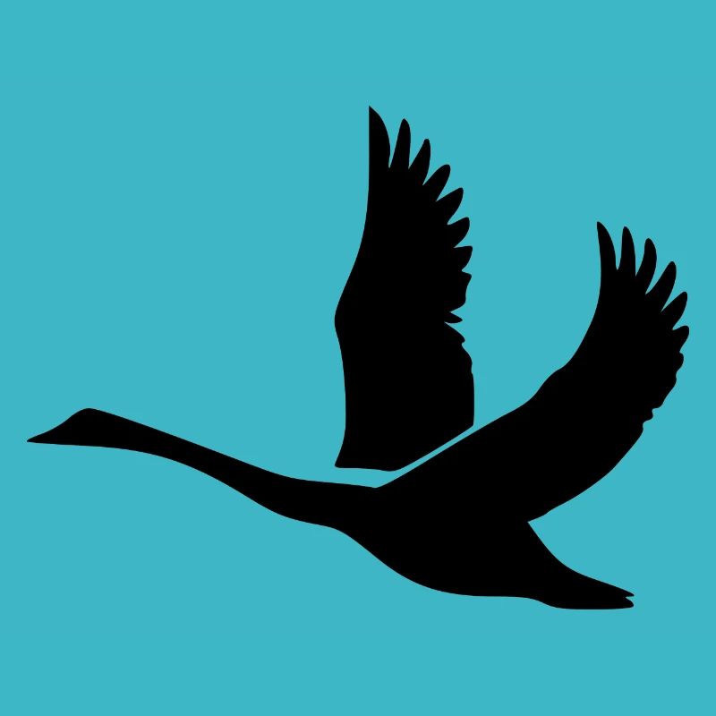 Cygne aux ailes énormes