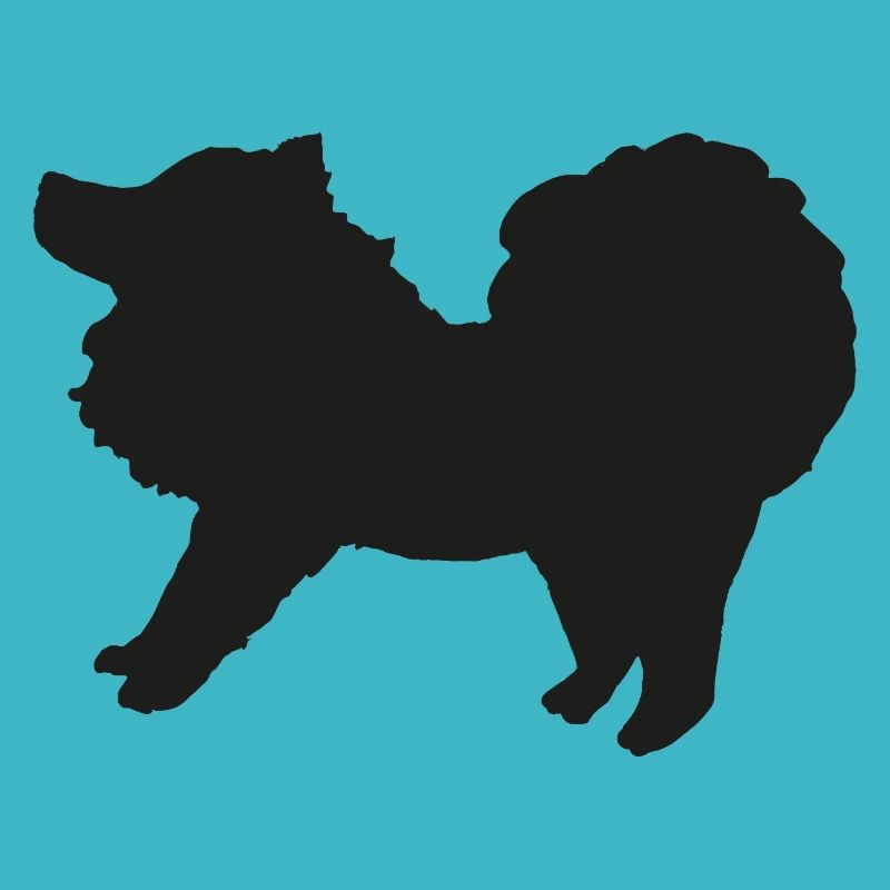 Spitz schwarz