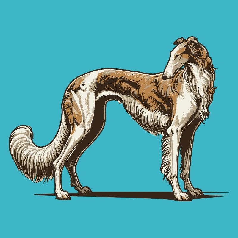 Borzoi