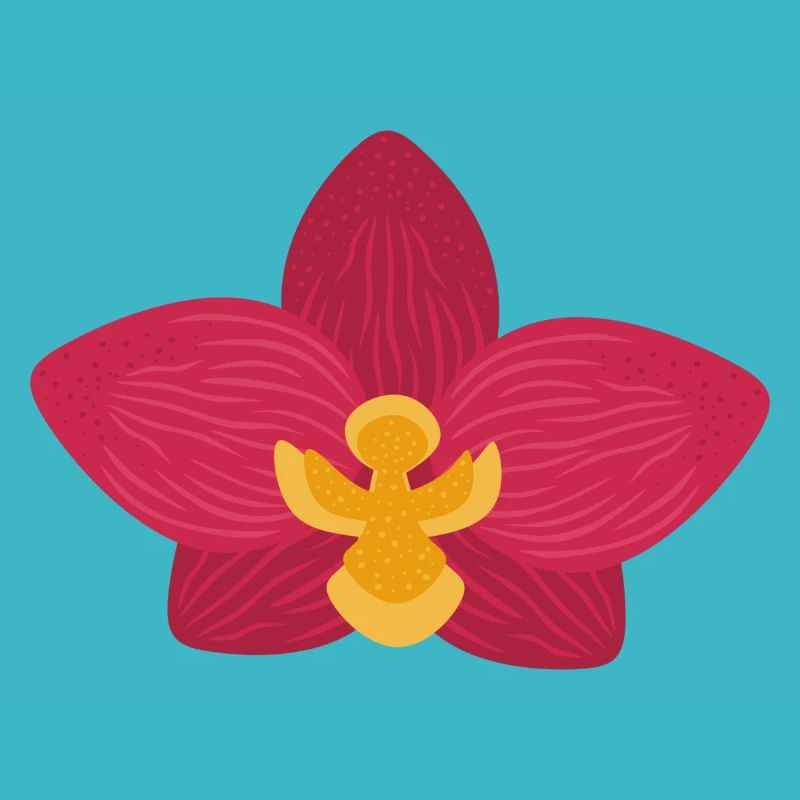 Orchid Flower