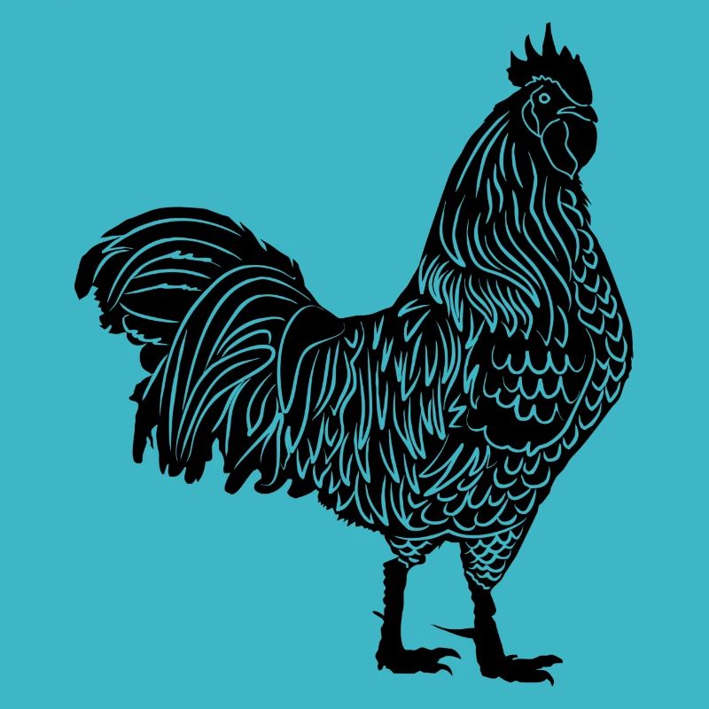 chicken113